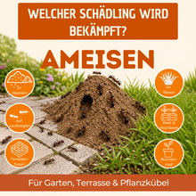 Lade das Bild in den Galerie-Viewer, SF-Nematoden gegen Ameisen - Natürliche Ameisenbekämpfung
