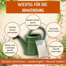 Lade das Bild in den Galerie-Viewer, SF-Nematoden gegen Ameisen - Natürliche Ameisenbekämpfung
