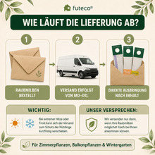 Lade das Bild in den Galerie-Viewer, Raubmilben Trio gegen Thripse, Spinnmilben & Weiße Fliege - Biologische Nützlinge – 3-fach Schutz für Ihre Pflanzen