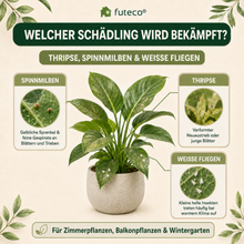 Lade das Bild in den Galerie-Viewer, Raubmilben Trio gegen Thripse, Spinnmilben &amp; Weiße Fliege - Biologische Nützlinge – 3-fach Schutz für Ihre Pflanzen

