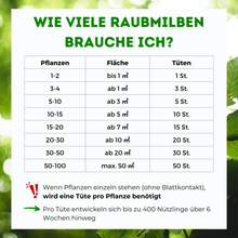Lade das Bild in den Galerie-Viewer, Raubmilben gegen Spinnmilben

