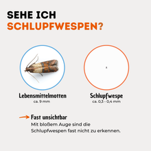 Lade das Bild in den Galerie-Viewer, Schlupfwespen gegen Lebensmittelmotten 1-fach Lieferung
