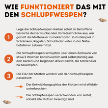 Lade das Bild in den Galerie-Viewer, Schlupfwespen gegen Lebensmittelmotten 1-fach Lieferung
