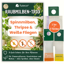 Lade das Bild in den Galerie-Viewer, Raubmilben Trio gegen Thripse, Spinnmilben &amp; Weiße Fliege - Biologische Nützlinge – 3-fach Schutz für Ihre Pflanzen
