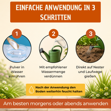 Lade das Bild in den Galerie-Viewer, SF-Nematoden gegen Ameisen - Natürliche Ameisenbekämpfung
