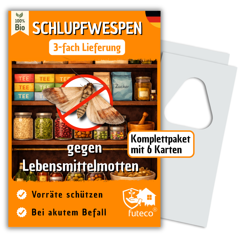 Schlupfwespen gegen Lebensmittelmotten