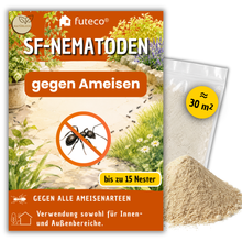 Lade das Bild in den Galerie-Viewer, SF-Nematoden gegen Ameisen - Natürliche Ameisenbekämpfung
