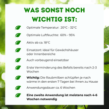 Lade das Bild in den Galerie-Viewer, Raubmilben gegen Spinnmilben
